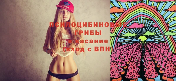 PSILOCYBIN Арсеньев