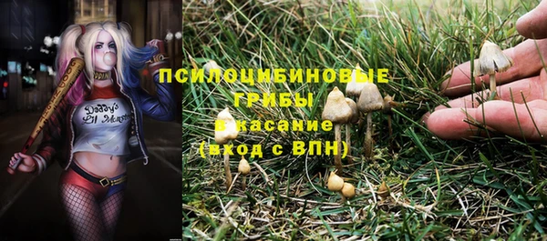 PSILOCYBIN Арсеньев