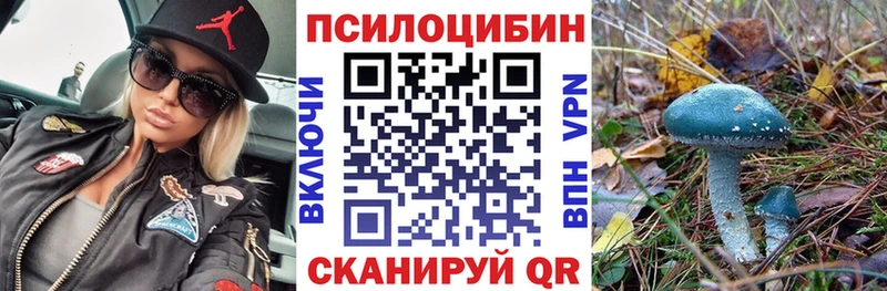 Псилоцибиновые грибы Cubensis  закладки  Сысерть 